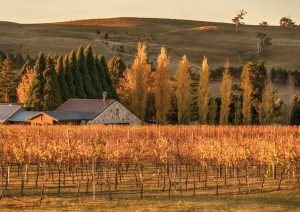 Southern Highlands estate role