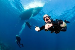 deck/diver